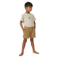 rip-curl-surf-cord-volley-toddler-shorts