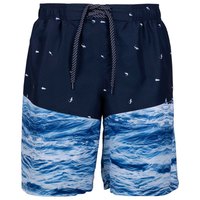 Trespass Orman Swimming Shorts