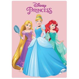 Safta Princesas Disney Magical Towel