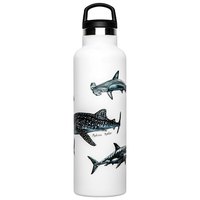 fish-tank-botella-poster-de-tiburones-600ml