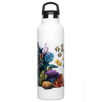 fish-tank-reef-bottle-600ml