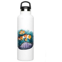 Fish tank Clownfish Bottle 600ml
