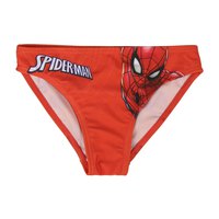 Cerda group Slip Costume Spiderman