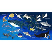 oceanarium-sharks---rays-l-handdoek