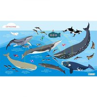oceanarium-asciugamano-cetaceans-l