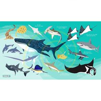 oceanarium-asciugamano-sharks---rays-l