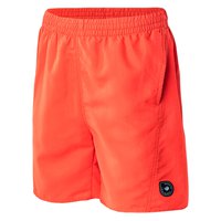 aquawave-aogash-shorts