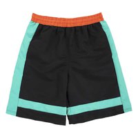 fashy-26833-swimming-shorts