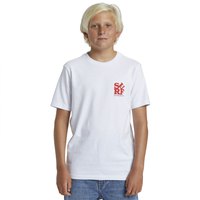 quiksilver-kortarmad-t-shirt-surf-boe