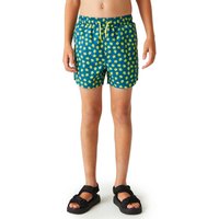 regatta-skander-iii-swimming-shorts