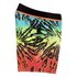 Quiksilver Glitched 18´´ Swimming Shorts