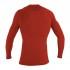 O´neill wetsuits Basic Skins Crew L/S