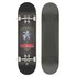 Globe Skateboard Palm Off Complete 8.0´´