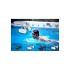 Sunstech Auriculares Deportivos Argos Mp3 Waterproof