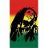 STT Sport Toalla CrazyTowel Bob Marley Compact