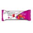 Nutrisport Control Day 24 Units Red Berries Energy Bars Box