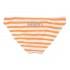 Superdry Marine Stripe Bikini Bottom