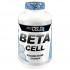 Procell Beta Cell 120 Units