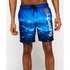 Superdry Premium Neo Swimming Shorts
