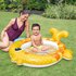 Intex Inflatable Fish Zwembad