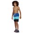 Regatta Shaul III Swimming Shorts
