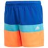 adidas Colorblock Swimming Shorts