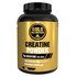 Gold Nutrition Kreatyna 280gr Router